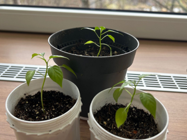 Teamkultur im Unternehmen stärken – kleine Impulse, große Wirkung